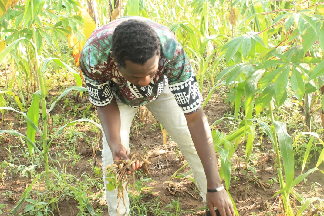 WhatsApp Image 2026-01-25 at 17.15.16