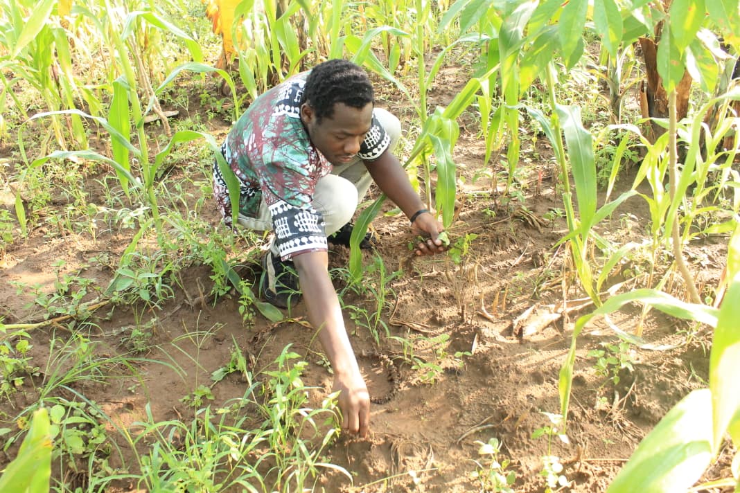 WhatsApp Image 2026-01-25 at 17.15.18