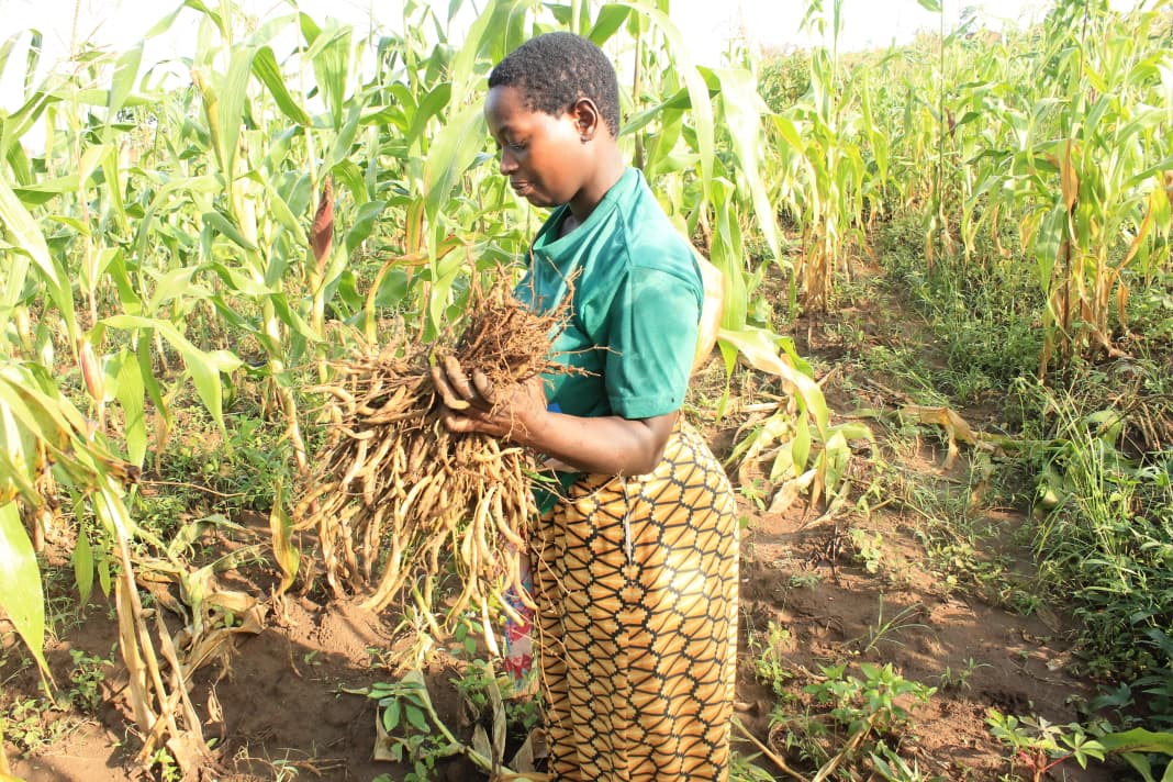 WhatsApp Image 2026-01-25 at 17.15.20